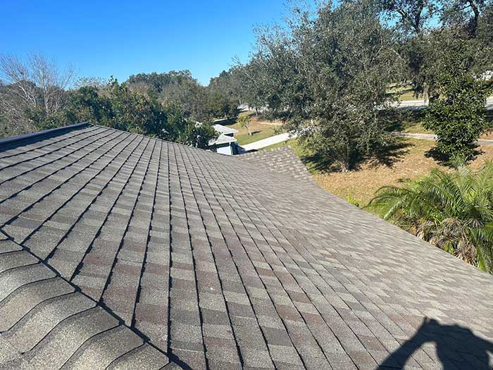 Home Roof Restoration Services